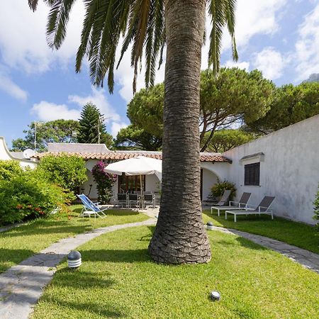 Villetta Con Giardino Esclusivo Di 1000 Mq, Piscina, Tennis, Calcio, Bocce Forio di Ischia Exteriér fotografie