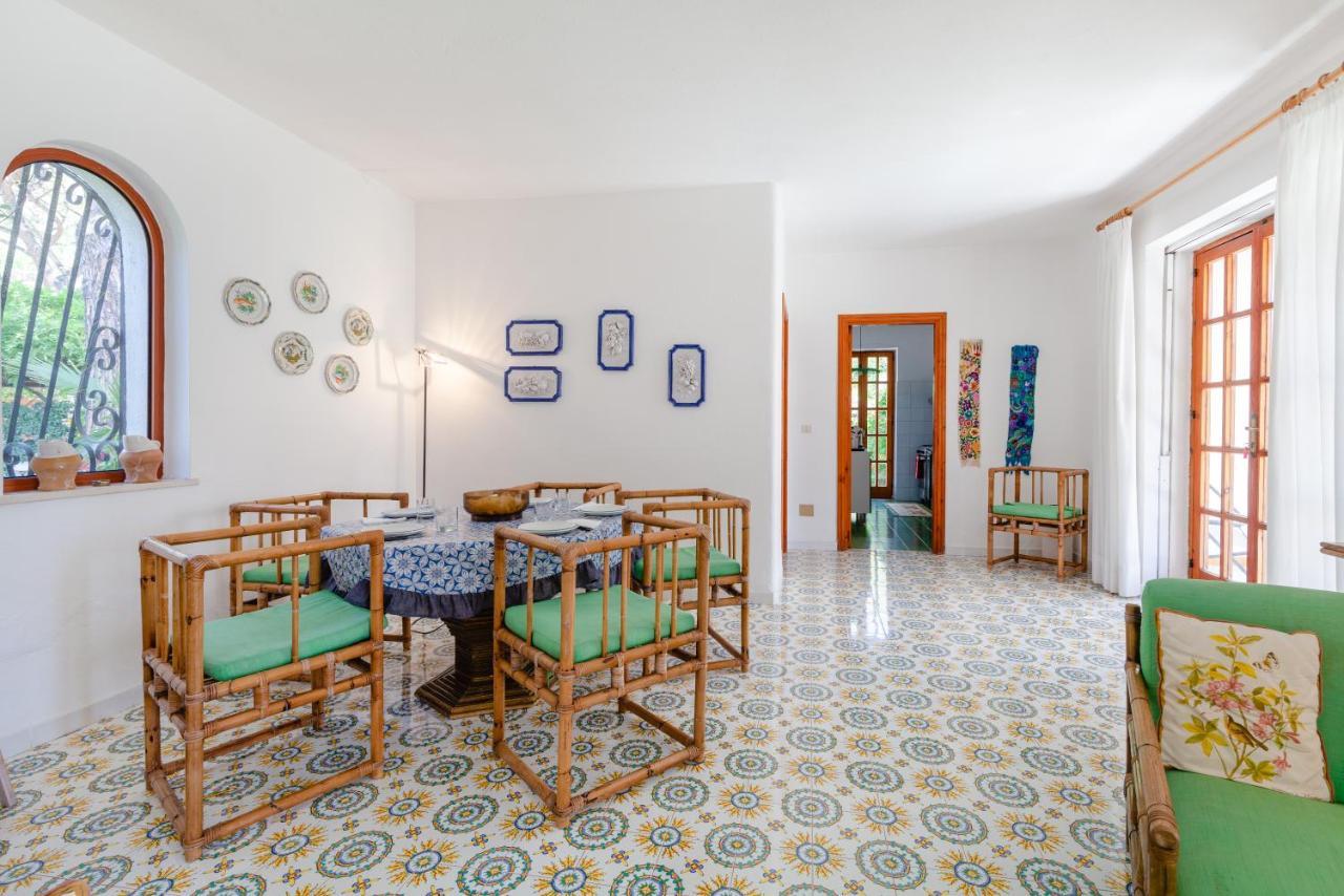 Villetta Con Giardino Esclusivo Di 1000 Mq, Piscina, Tennis, Calcio, Bocce Forio di Ischia Exteriér fotografie