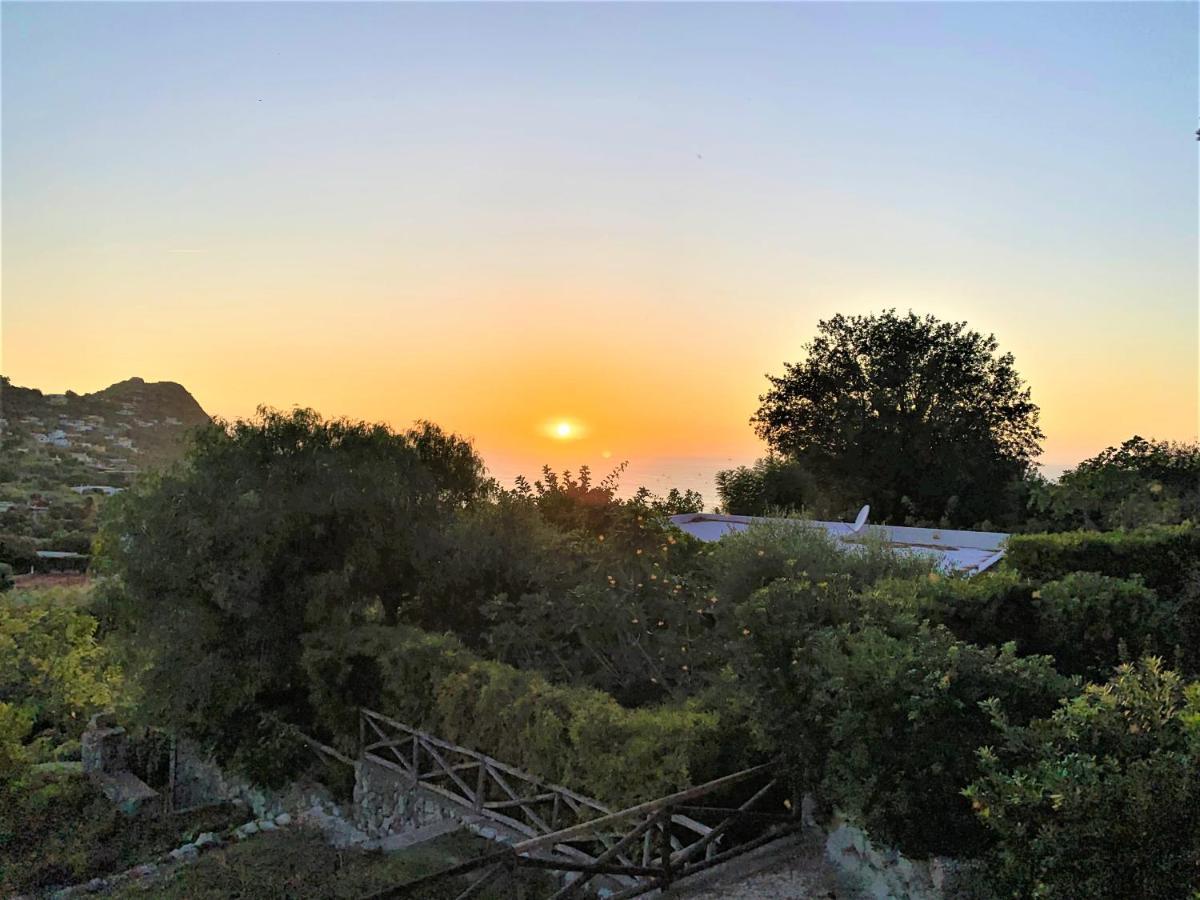 Villetta Con Giardino Esclusivo Di 1000 Mq, Piscina, Tennis, Calcio, Bocce Forio di Ischia Exteriér fotografie