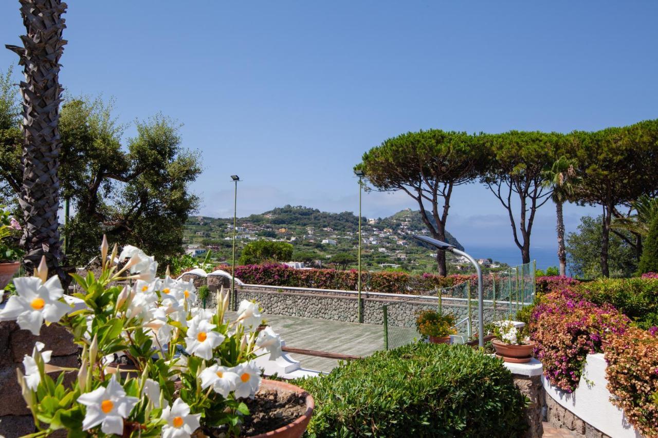 Villetta Con Giardino Esclusivo Di 1000 Mq, Piscina, Tennis, Calcio, Bocce Forio di Ischia Exteriér fotografie