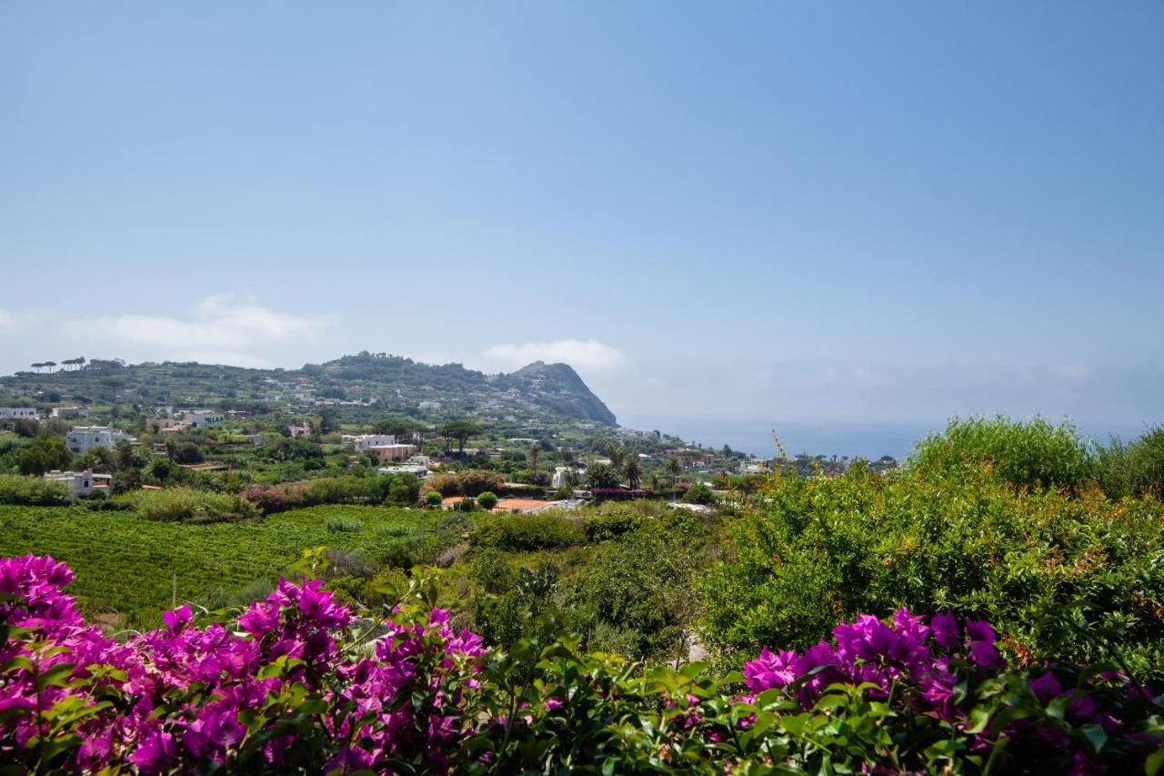 Villetta Con Giardino Esclusivo Di 1000 Mq, Piscina, Tennis, Calcio, Bocce Forio di Ischia Exteriér fotografie