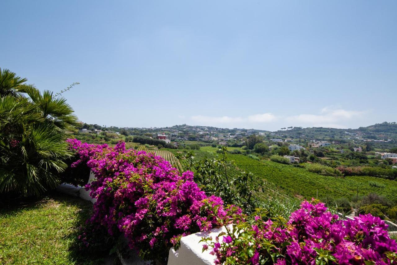 Villetta Con Giardino Esclusivo Di 1000 Mq, Piscina, Tennis, Calcio, Bocce Forio di Ischia Exteriér fotografie