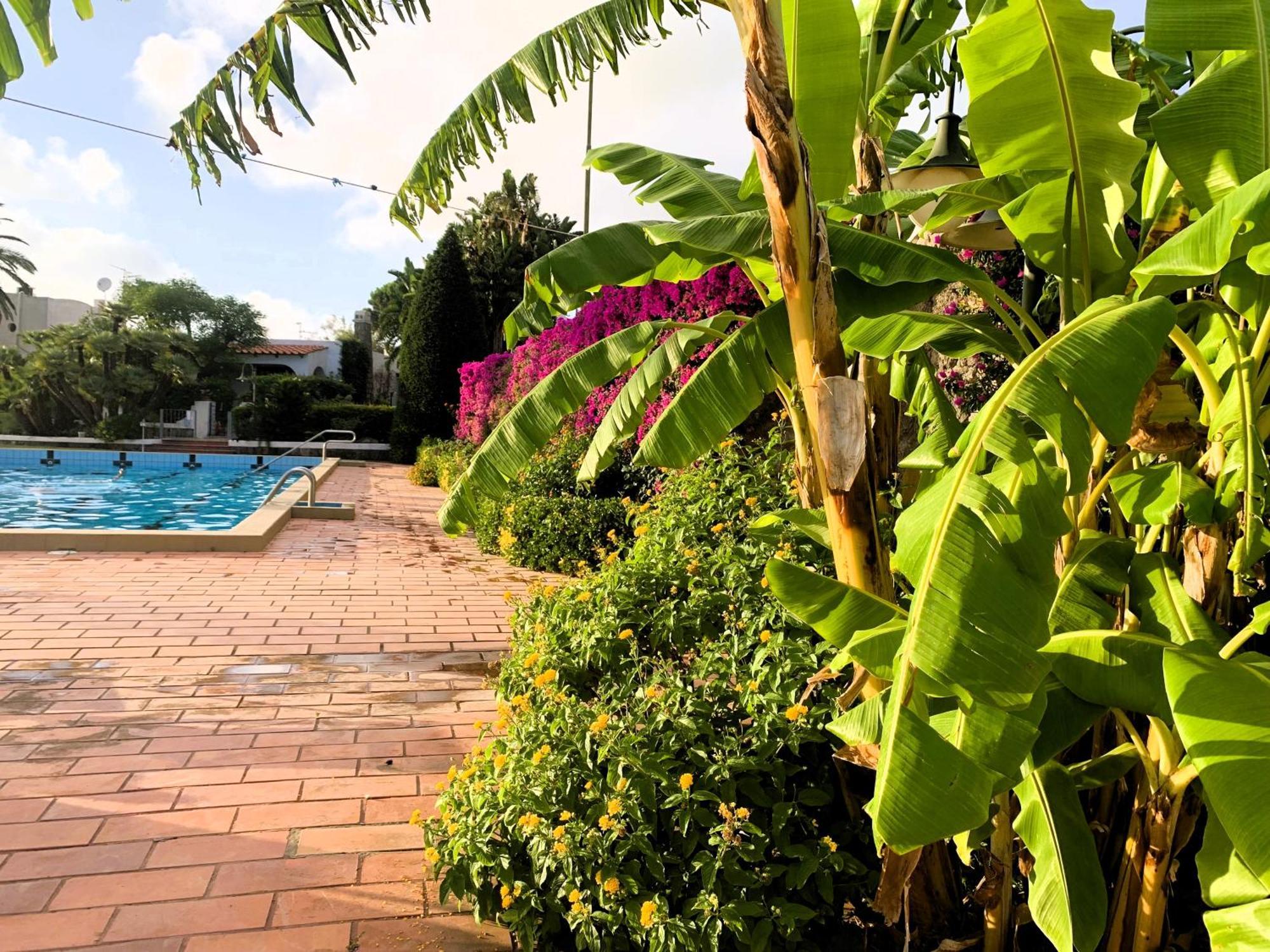 Villetta Con Giardino Esclusivo Di 1000 Mq, Piscina, Tennis, Calcio, Bocce Forio di Ischia Exteriér fotografie