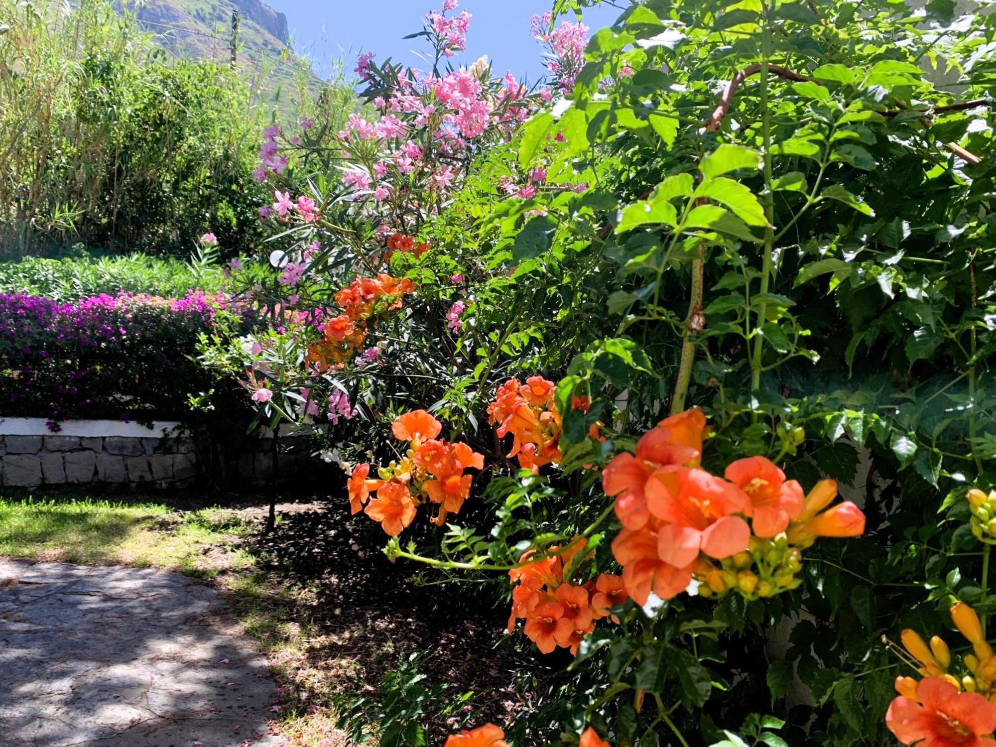 Villetta Con Giardino Esclusivo Di 1000 Mq, Piscina, Tennis, Calcio, Bocce Forio di Ischia Exteriér fotografie