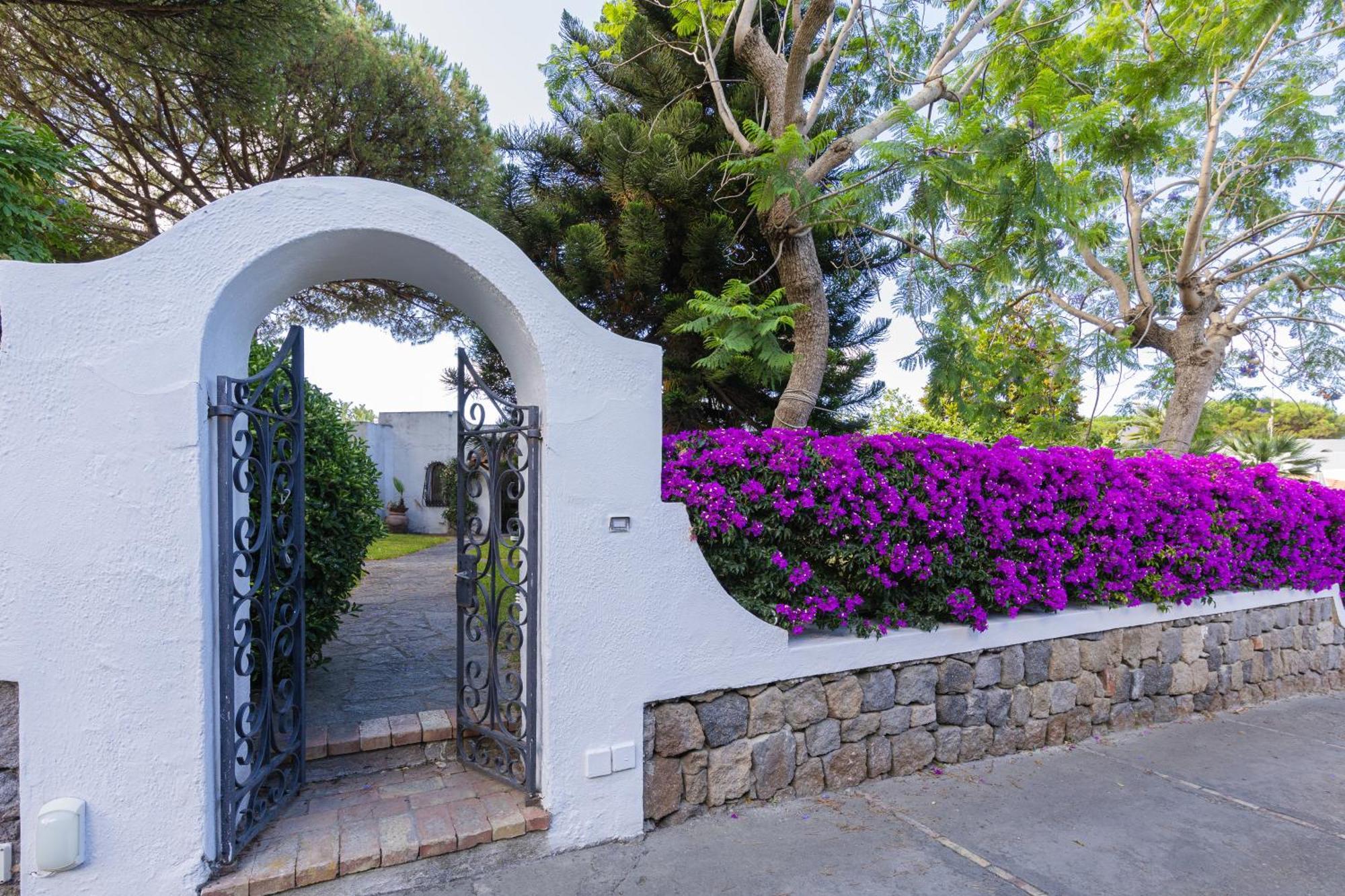 Villetta Con Giardino Esclusivo Di 1000 Mq, Piscina, Tennis, Calcio, Bocce Forio di Ischia Exteriér fotografie