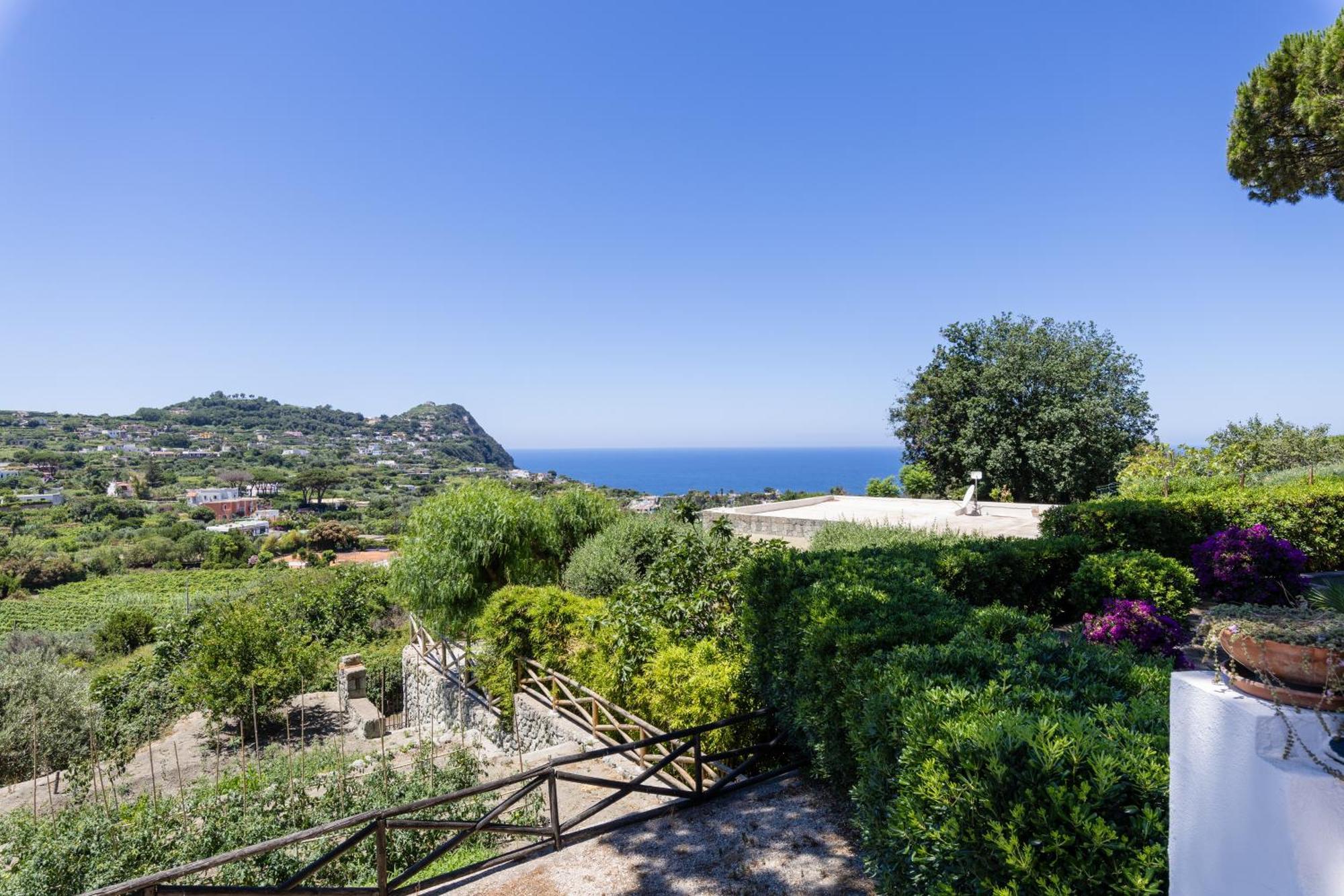 Villetta Con Giardino Esclusivo Di 1000 Mq, Piscina, Tennis, Calcio, Bocce Forio di Ischia Exteriér fotografie