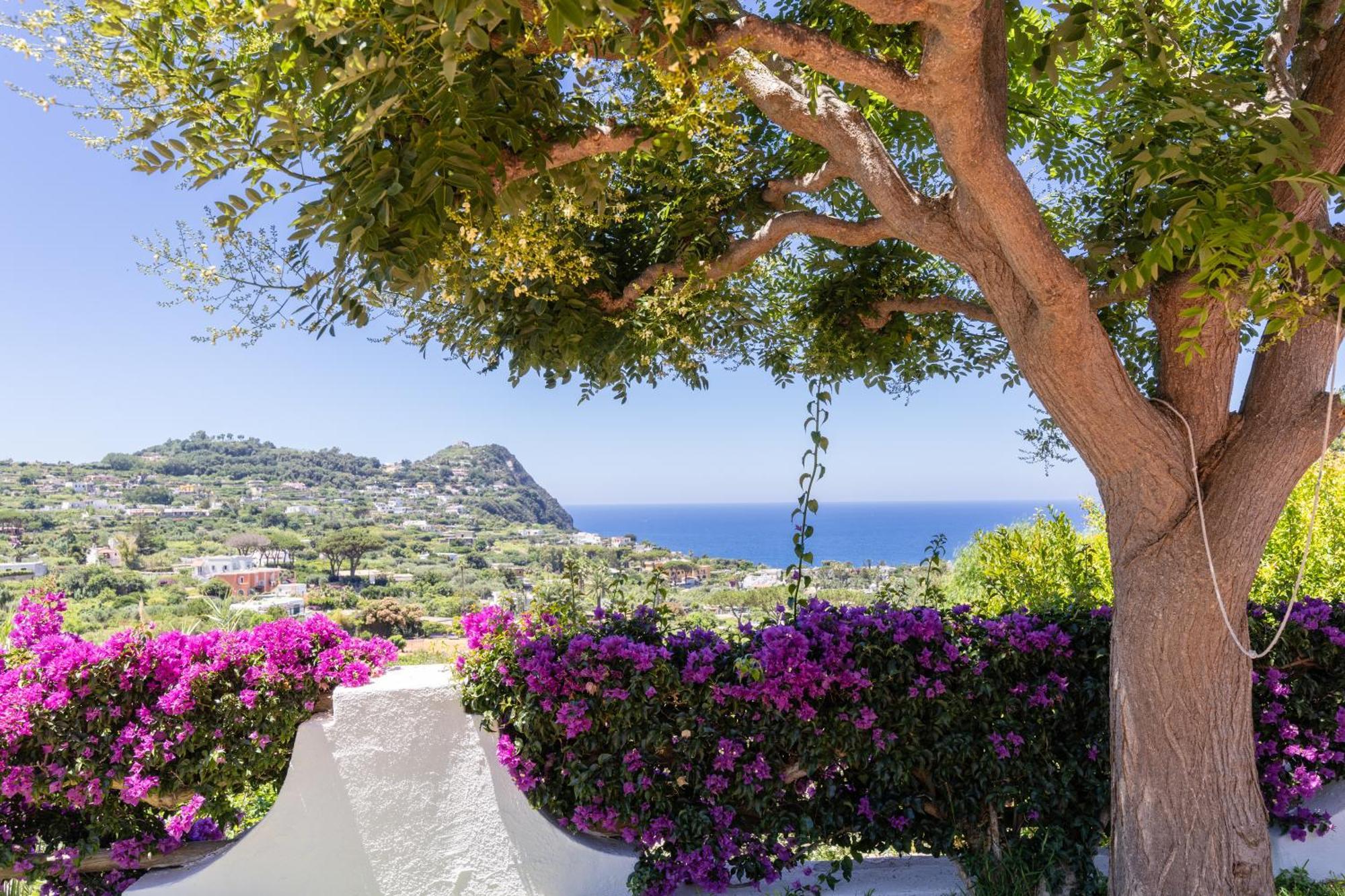 Villetta Con Giardino Esclusivo Di 1000 Mq, Piscina, Tennis, Calcio, Bocce Forio di Ischia Exteriér fotografie