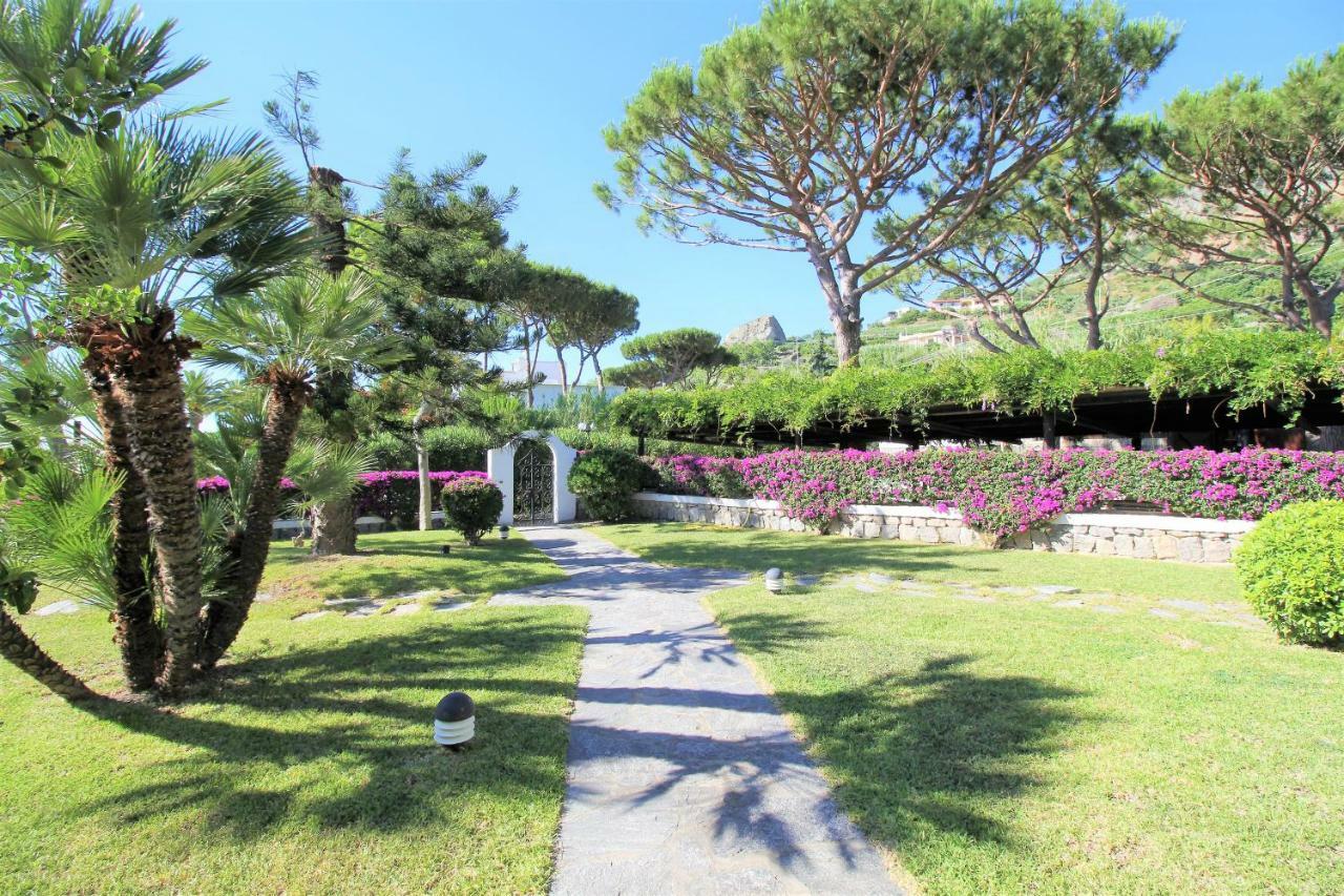 Villetta Con Giardino Esclusivo Di 1000 Mq, Piscina, Tennis, Calcio, Bocce Forio di Ischia Exteriér fotografie