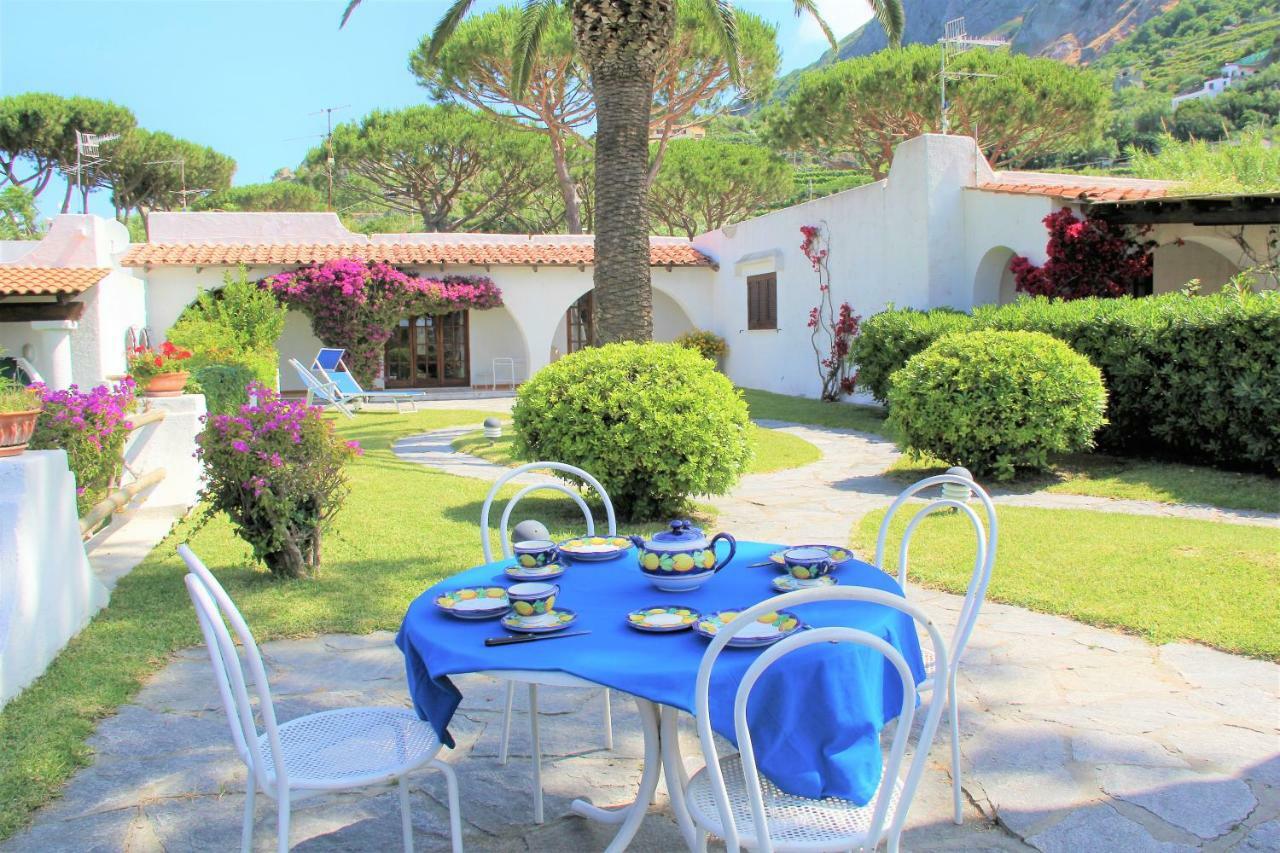 Villetta Con Giardino Esclusivo Di 1000 Mq, Piscina, Tennis, Calcio, Bocce Forio di Ischia Exteriér fotografie