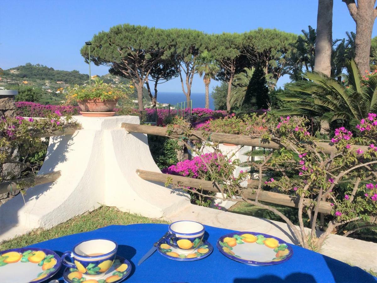 Villetta Con Giardino Esclusivo Di 1000 Mq, Piscina, Tennis, Calcio, Bocce Forio di Ischia Exteriér fotografie